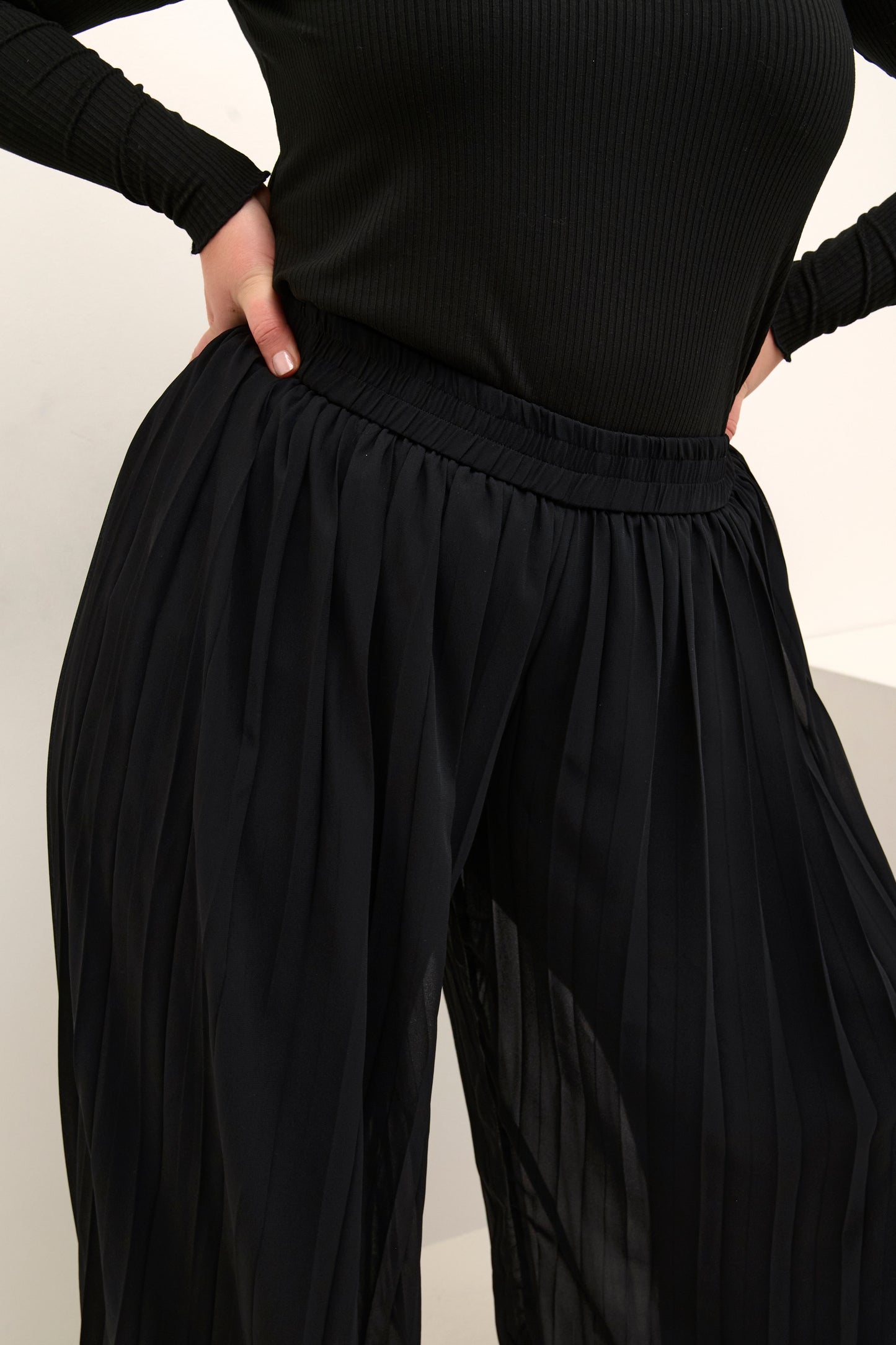 Feri Pleated Palazzo Pants