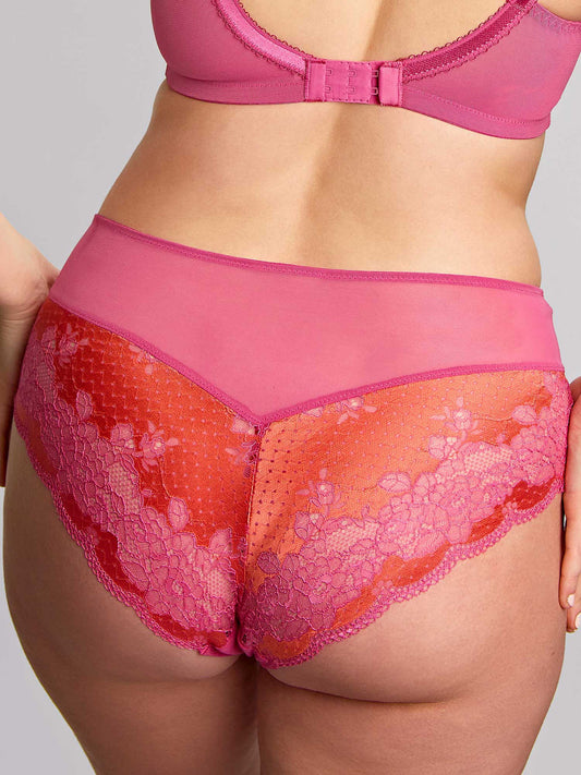 Panache Clara Deep Brief