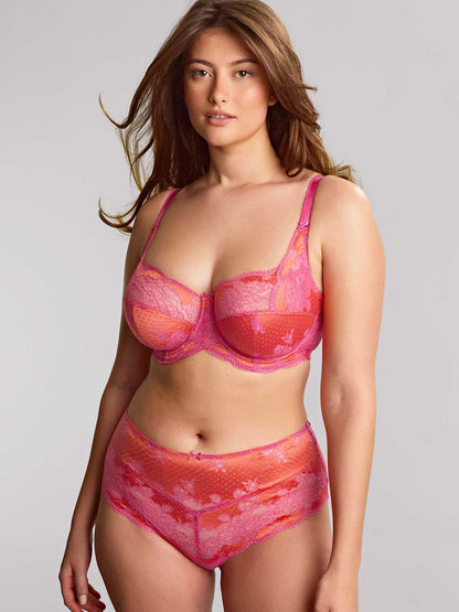 Panache Clara Deep Brief