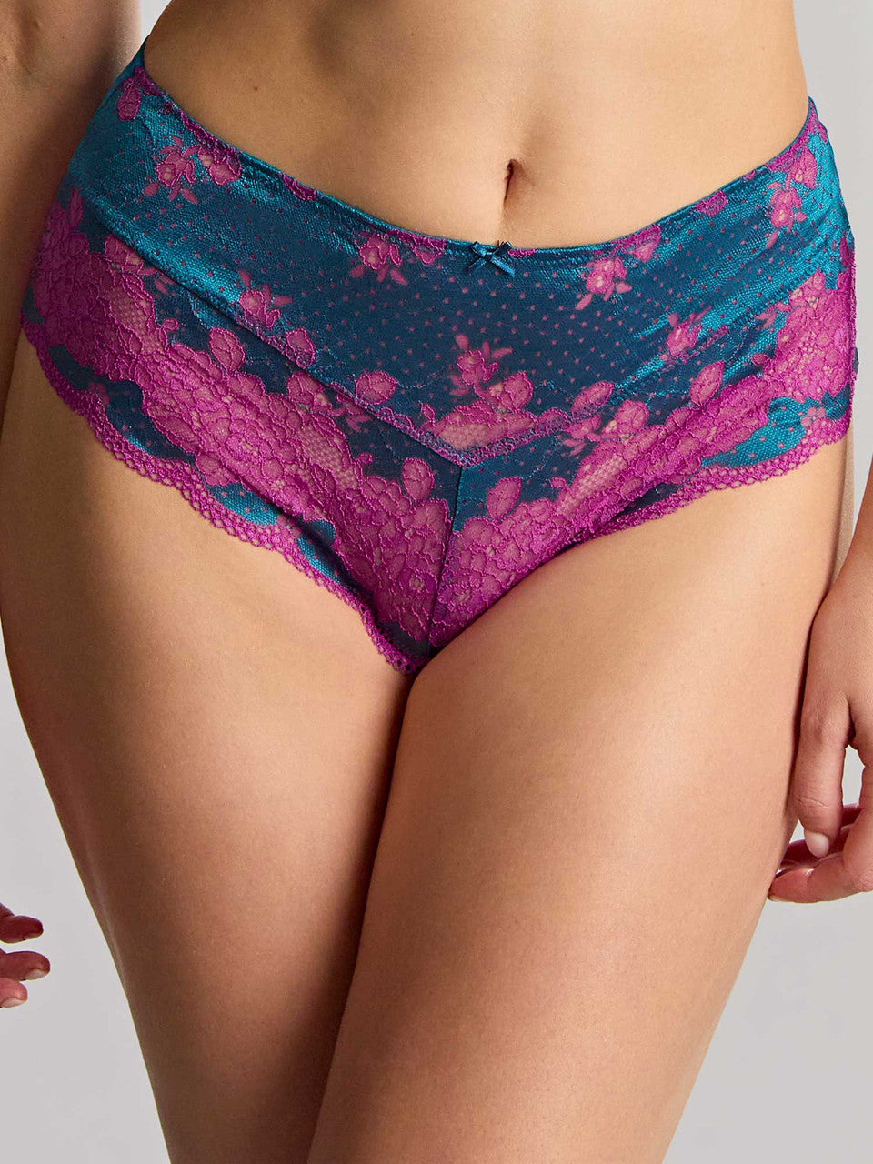 Panache Clara Deep Brief | Seasonal Colours