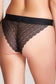 Lyzy Brief - Pinned Up Bra Lounge